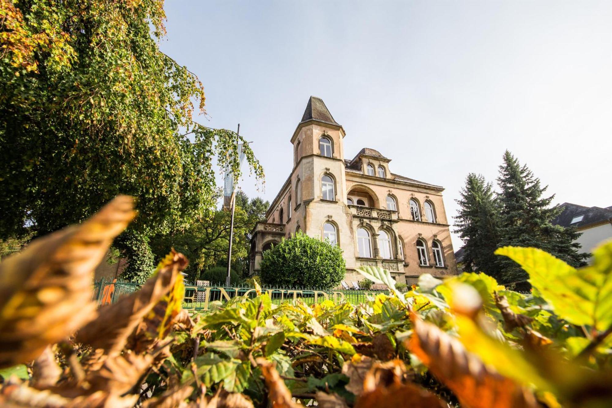 Weingut Dr Wagner Villa Saarburg Eksteriør bilde