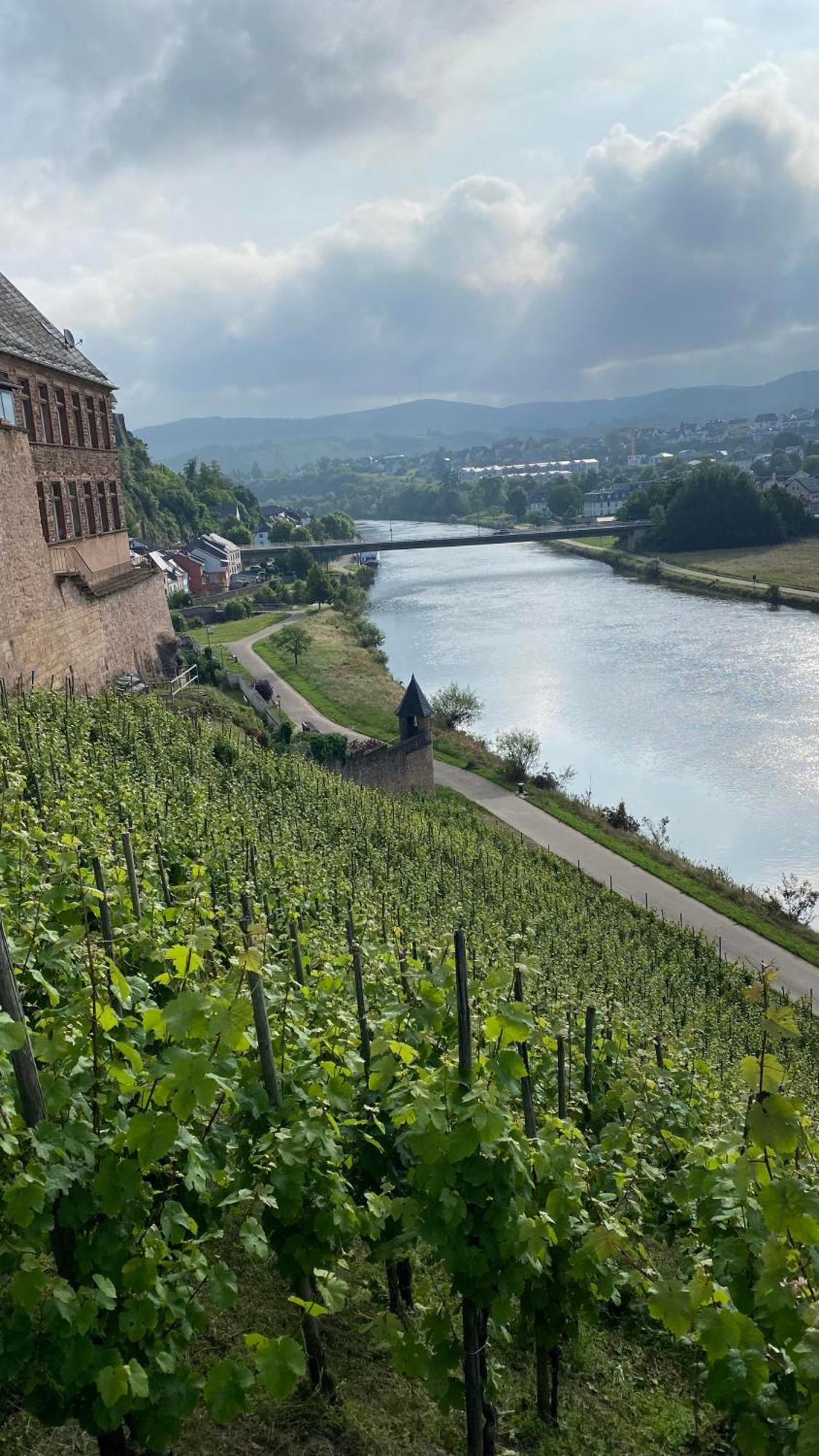 Weingut Dr Wagner Villa Saarburg Eksteriør bilde